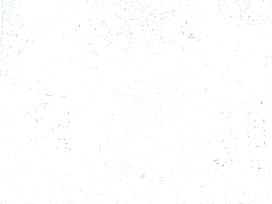 Azichem Гидро- и маслоотталкивающая обработка полов Consilex