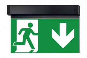 DST-1655 Ikus 320-b Daisalux Светильники сигнальные Черный