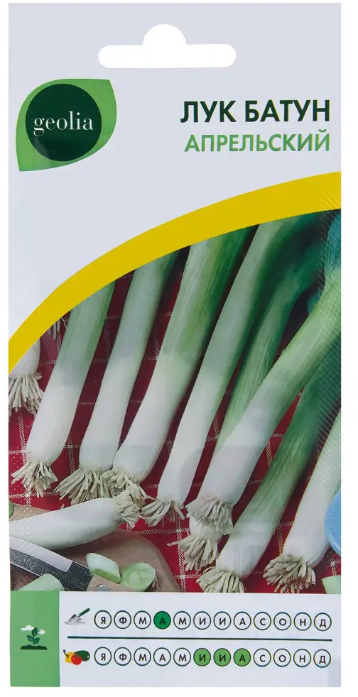 GEOLIA Лук-батун Апрельский - морозостойкий многолетник с витаминами 17584524