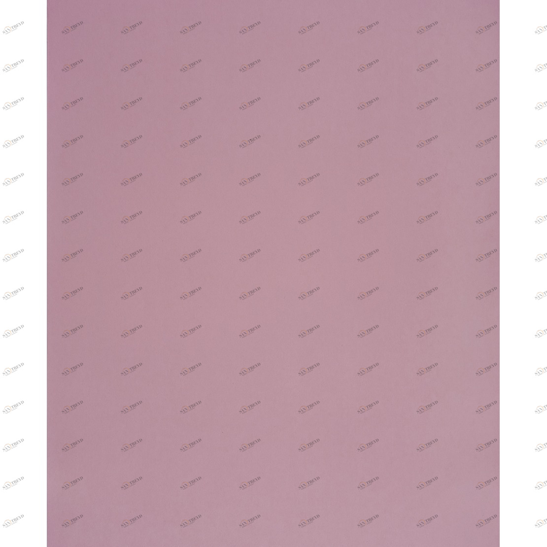 Рулон обоев ALICE & PAUL AEP22634210. Основа Casadeco