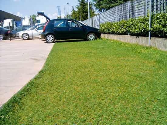 PROJECT FOR BUILDING Слив для парковок sun-id-1514581 - Вид №1