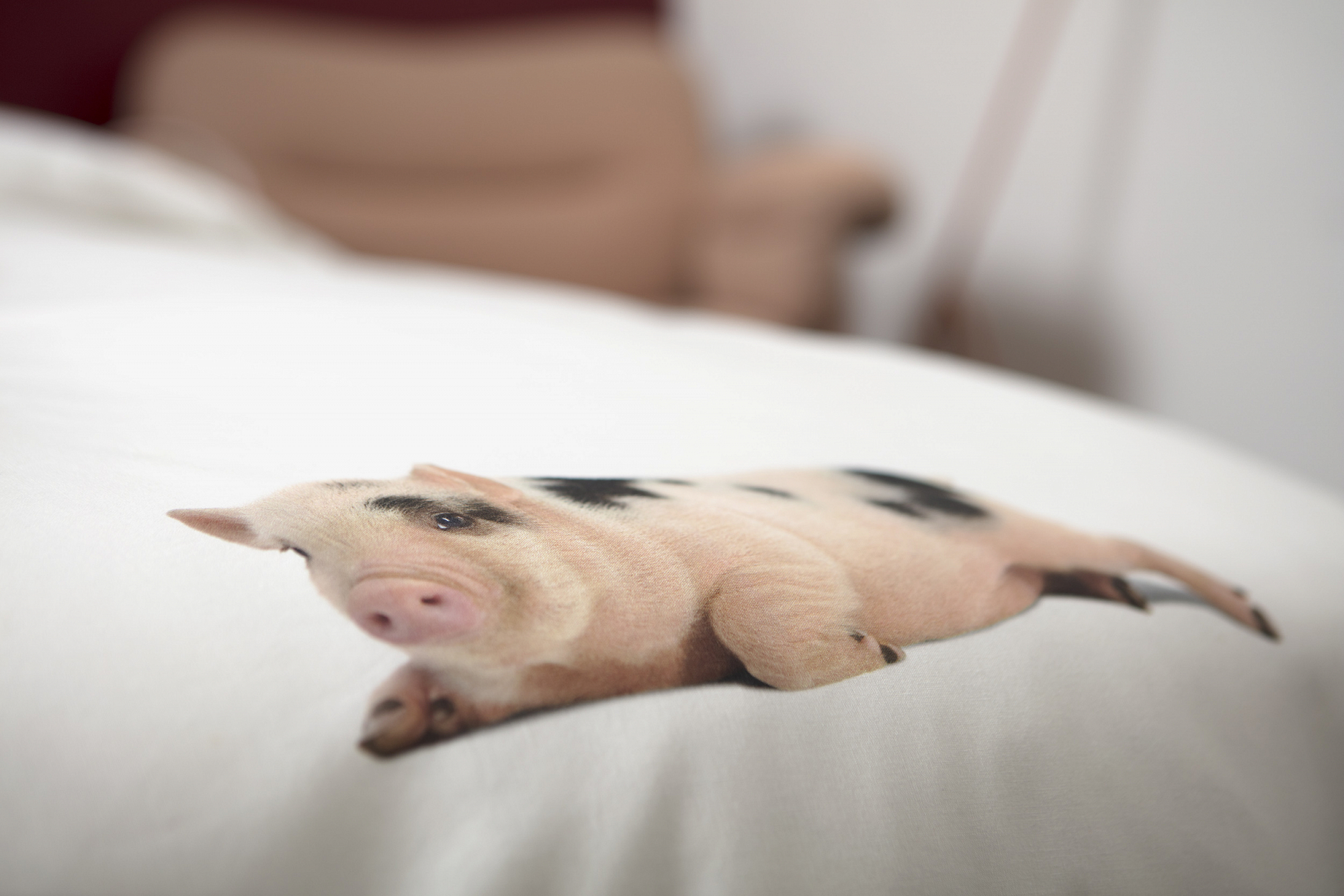 Детское постельное белье односпальное "Поросенок" белое 150х200 см SNURK  335479 Белый  - Вид №1