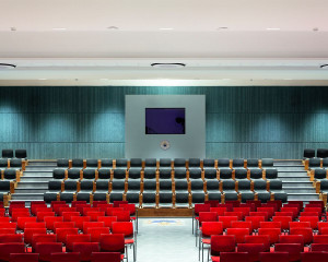 Звукопоглощающие панели из минеральной древесной шерсти