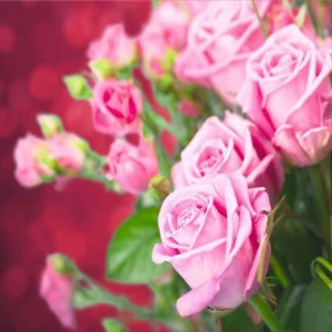 WP00878 Фотообои Verol Фотообои decoline 1х1 м