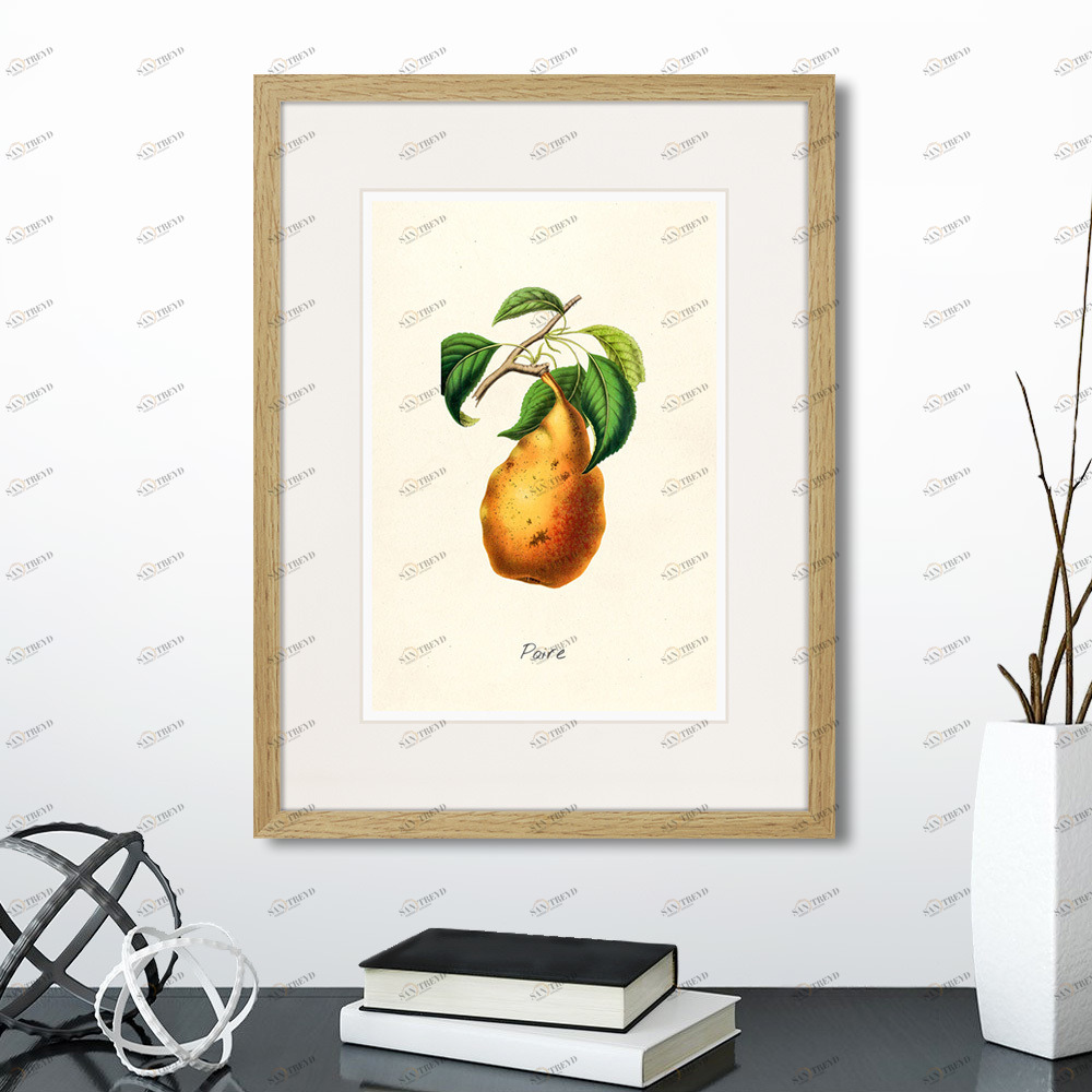 Литография на тонированной бумаге 42х32 см Botany illustration №18, 1836г. КАРТИНЫ В КВАРТИРУ  264503 Бежевый;белый;желтый;разноцветный 