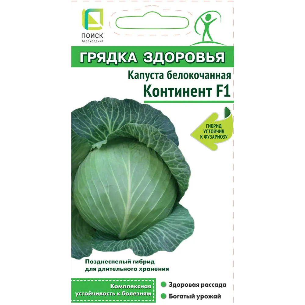 Семена капусты белокочанной Континент F1 от ПОИСК - для длительного хранения и квашения 83577754 STLM-0042057
