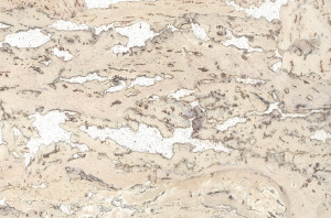 005 170 074 Пробковая плитка для стен Primus Rustic Pearl GRANORTE Decodalle