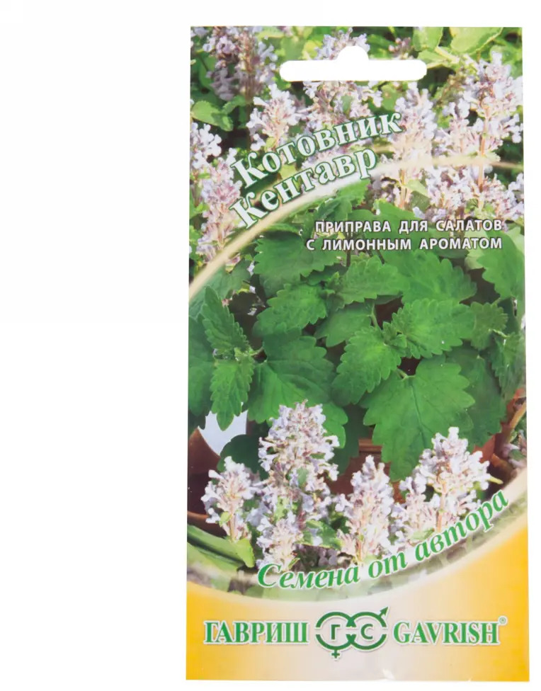 ГАВРИШ Котовник Кентавр - ароматный многолетник с лимонным запахом 13901342