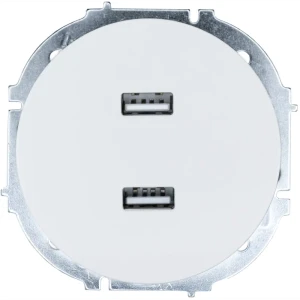 Розетка двойная USB встраиваемая Osen цвет белый 89424723 STLM-2212109