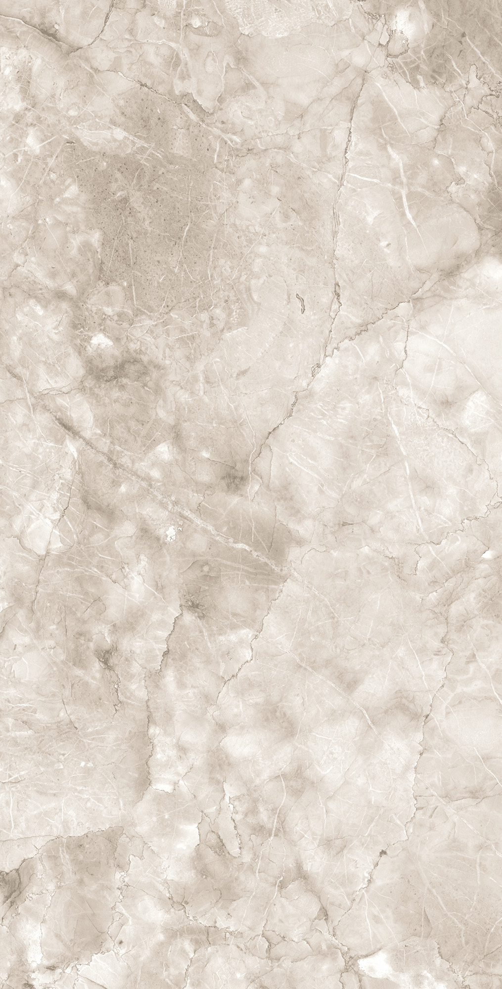 Керамогранит MICADO TAUPE 60х120 Arcadia Ceramica CR4025-A - Вид №2