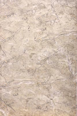 Ладога пал 20х30 Шахтинская Плитка 010101003547