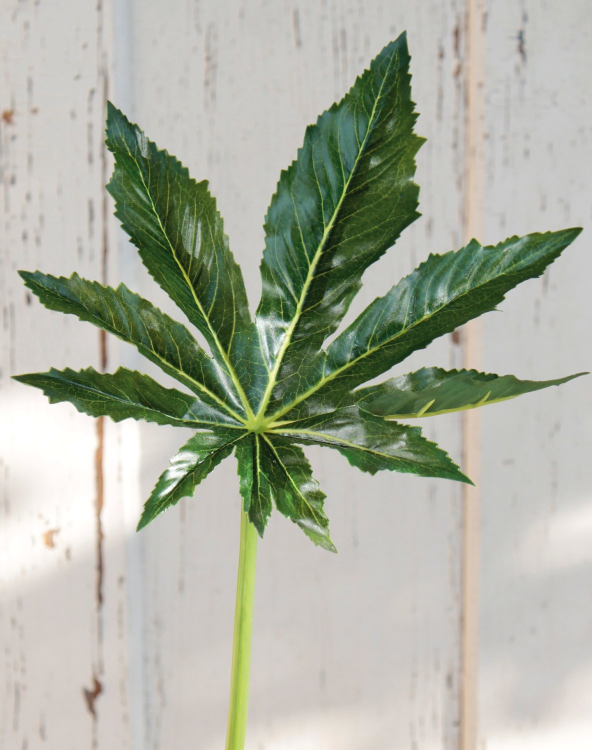 5833 883 a3 Лист искусственной аралии, 68 см, Ø 25 см, зеленый H-andreas 