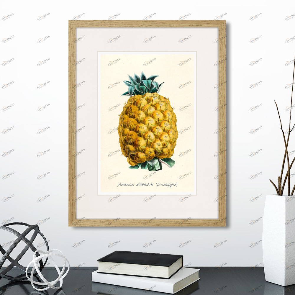 Картина в раме 32х42 см Botany illustration №17, 1836г. КАРТИНЫ В КВАРТИРУ  264490 Желтый;зеленый;разноцветный 