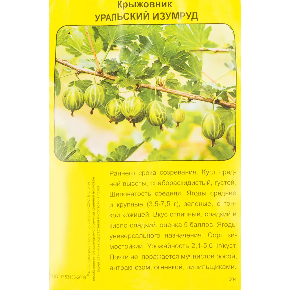 Крыжовник Уральский изумруд h40 см 83791436 STLM-2144862 Santreyd  - Вид №1