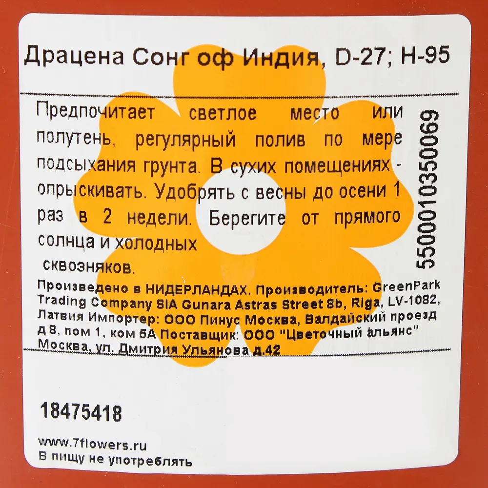 Драцена «Сонг оф Индия» 27x95 см 18475418 STLM-2030964 Santreyd  - Вид №2