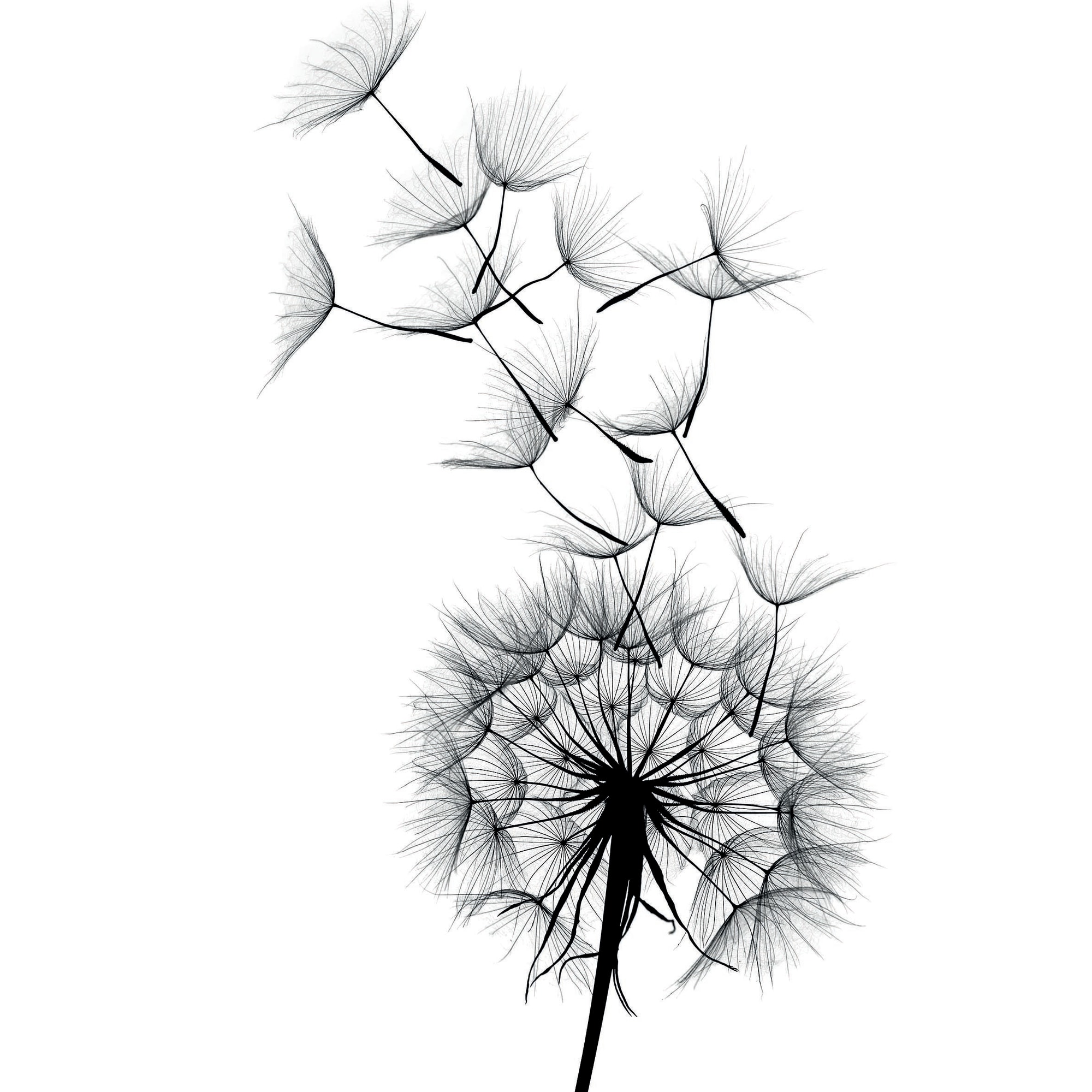 83308716 Постер «Лёгкость» 21x29.7 см Santreyd 