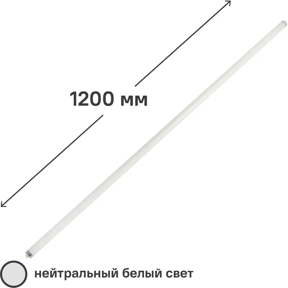 Лампа люминесцентная Belsvet T8 1200 мм 36 Вт свет дневной 14098870 STLM-2186016 