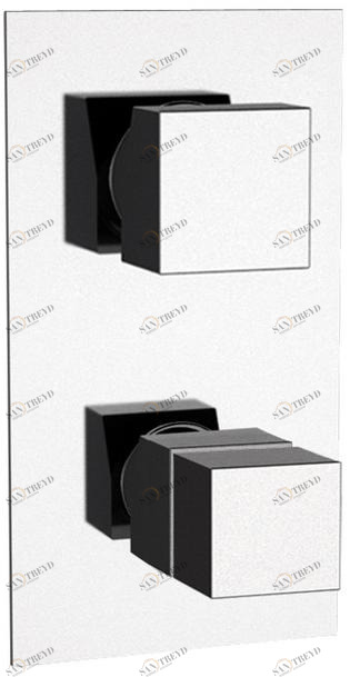 Remer Rubinetterie Термостатический смеситель для душа с переключателем на 5 положений Qubika thermo Qt 95