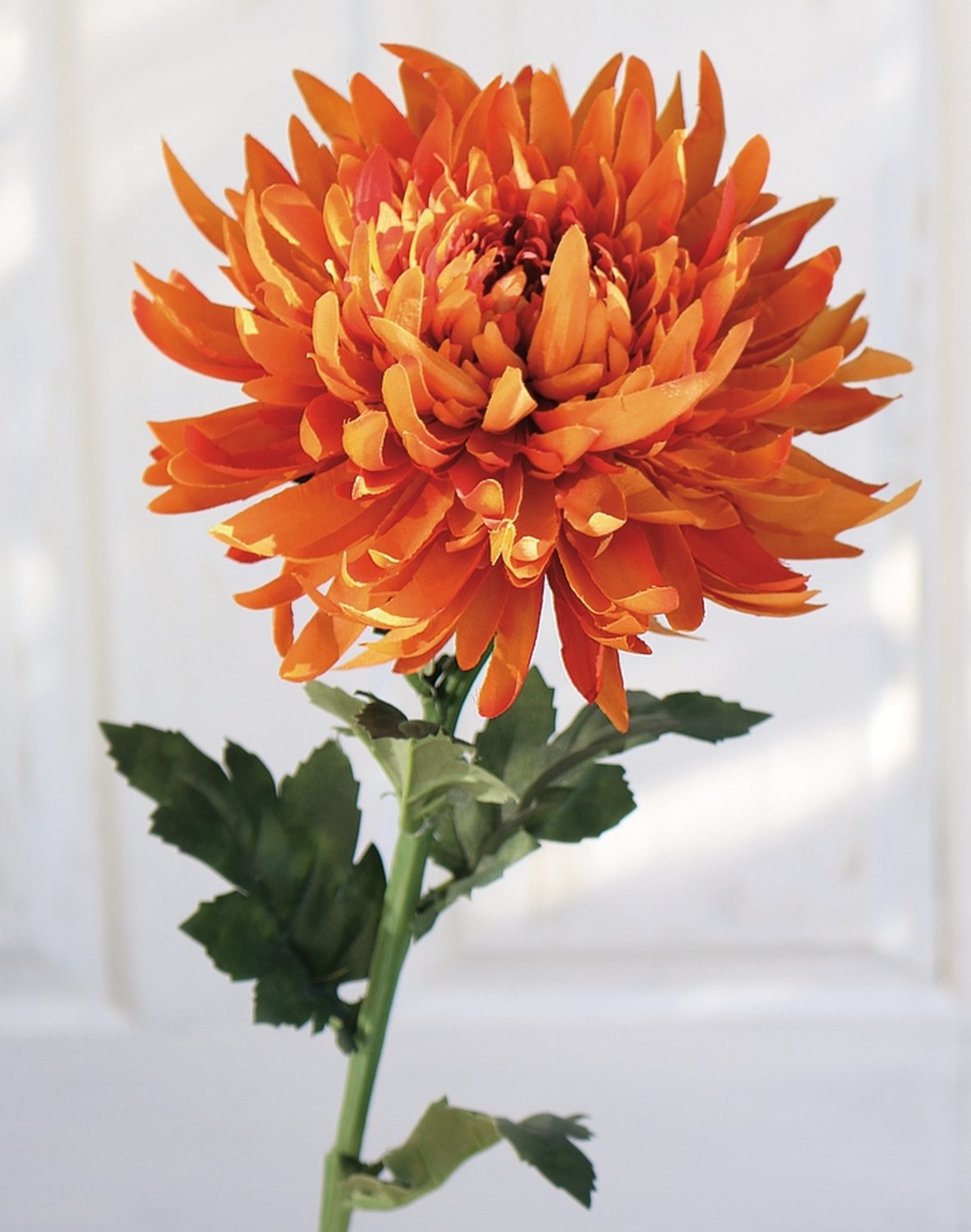 3411 334 a3 Пластиковая хризантема, 62 см, оранжевая H-andreas  - Вид №3