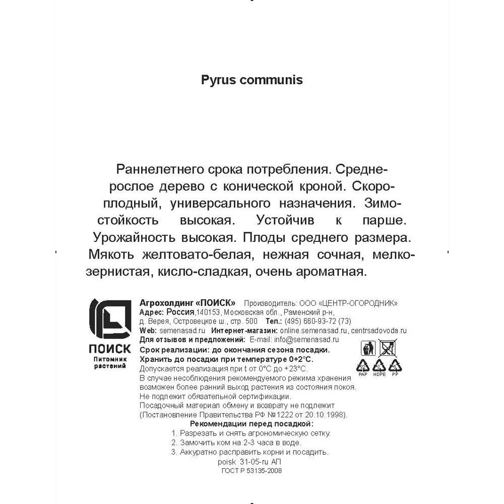 Груша обыкновенная Лада h200 см Поиск Инвест 84399305 STLM-2209953 Santreyd  - Вид №2
