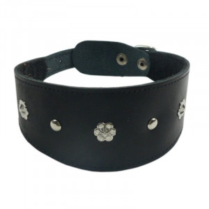 ПР0048180 Ошейник для собак Камбала 1сл 55мм 40см черный ZOOEXPRESS