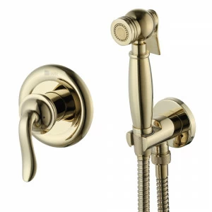 LM4719G Смеситель Brava с гигиеническим душем, встраиваемый LEMARK BRAVA