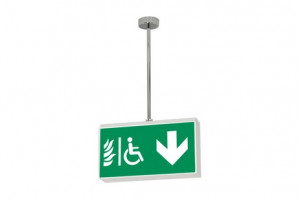 DST-1009 Lisu suspended Daisalux Светильники аварийные Белый