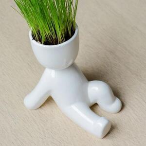 Набор для выращивания Eco Пляжник