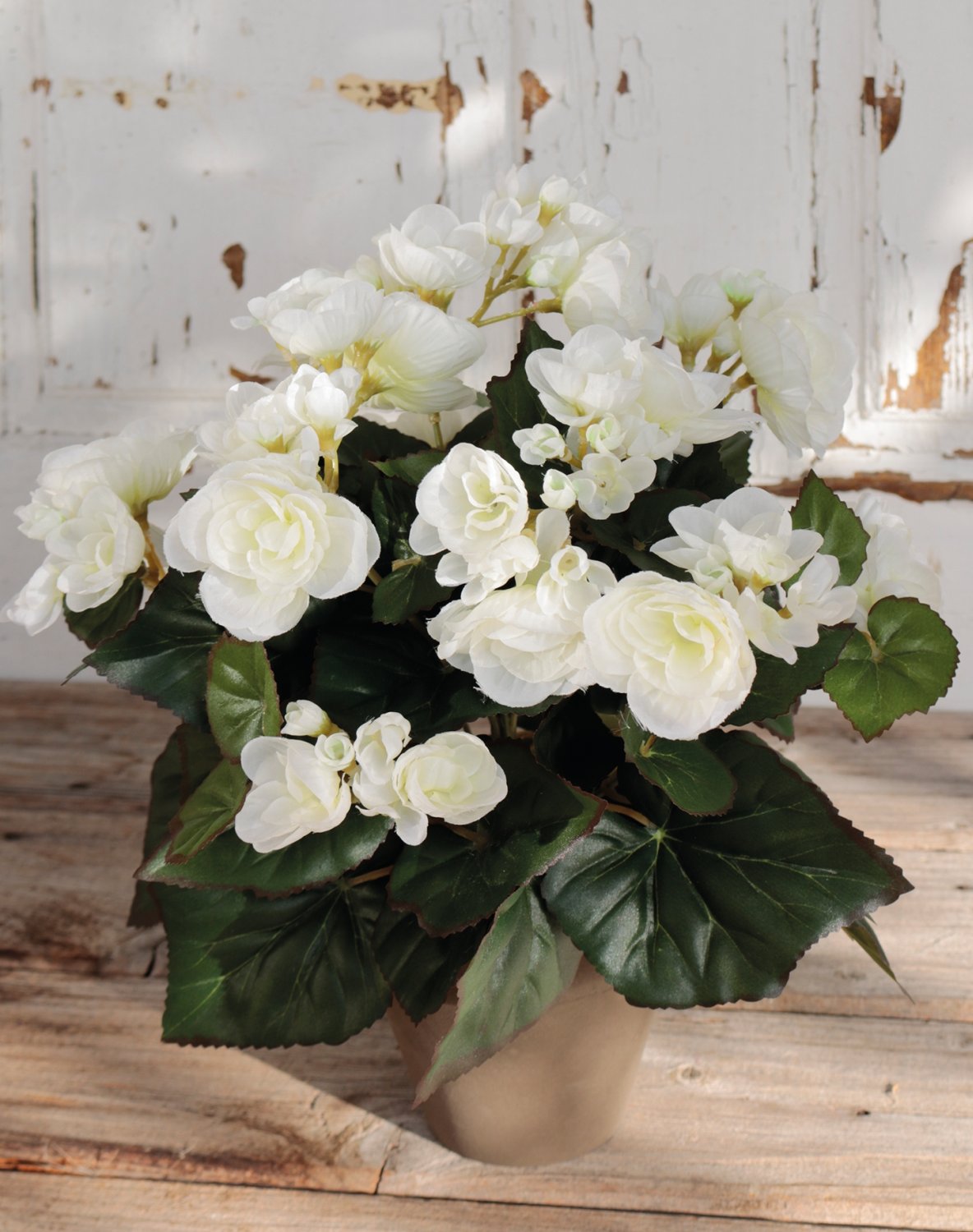 9715 777 a3 Бегония искусственная, горшечная, 30 см, белая H-andreas  - Вид №1