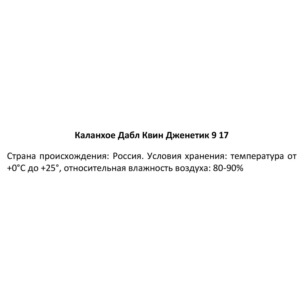 Santreyd Каланхое Дабл Квин Дженетик - цветущее совершенство в горшке 86749975 STLM-1483572 - Вид №5