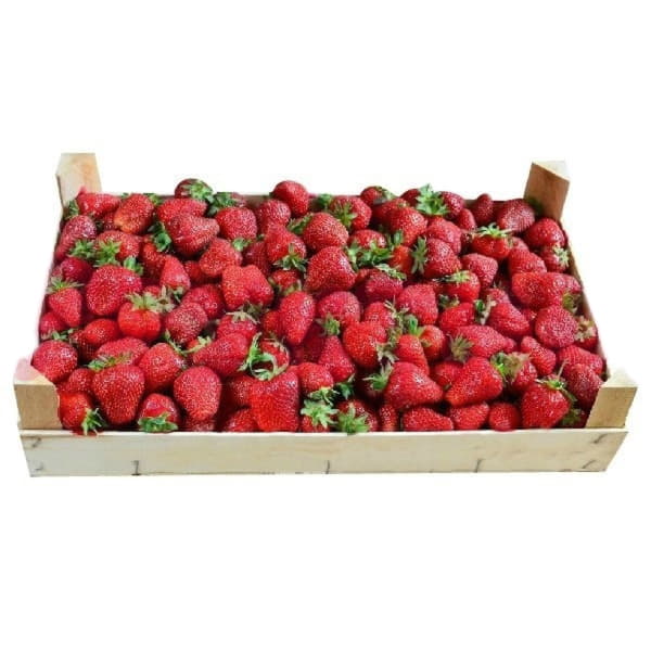 Клубника крымская в ящике ~5 кг Santreyd 19489 - Вид №1