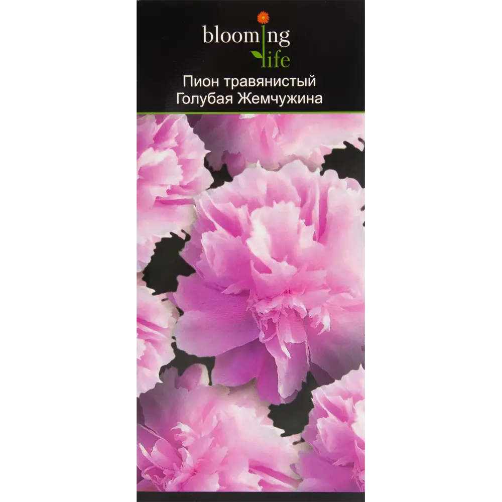 Пион травянистый Голубая жемчужина в тубе 82539508 STLM-2033554 BLOOMING LIFE 