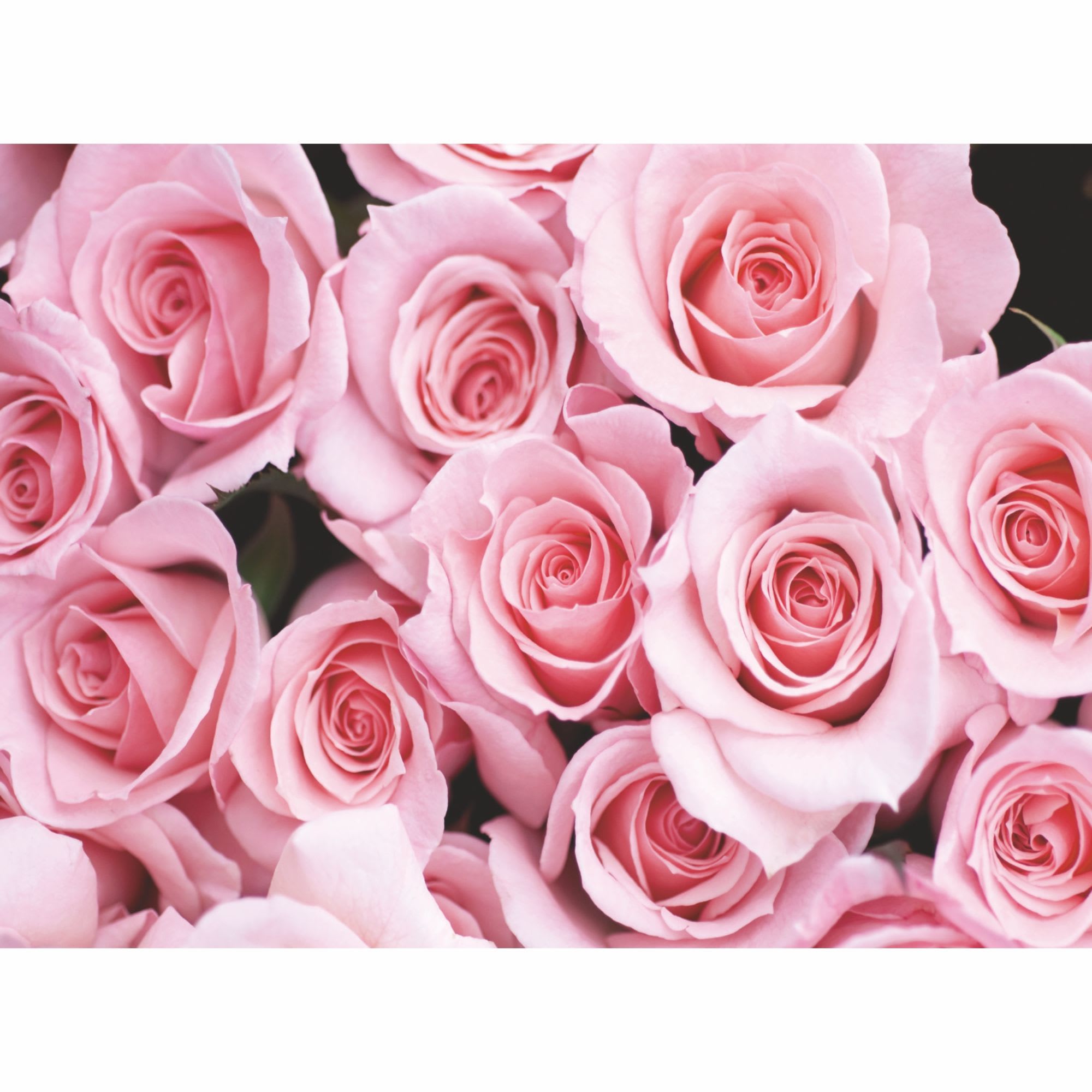 18087052 Фотообои бумажные «» 280х200 cм Нежность Santreyd 