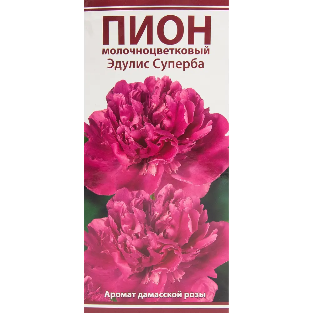 Пион молочноцветковый травянистый Эдулис Суперба 85205653 STLM-2121007 ПОИСК 