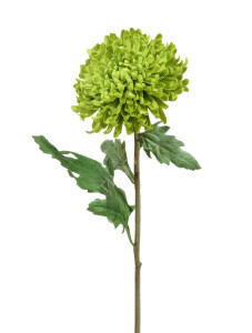 30.0611095GR Хризантема Шамрок зелёная Цветочная коллекция