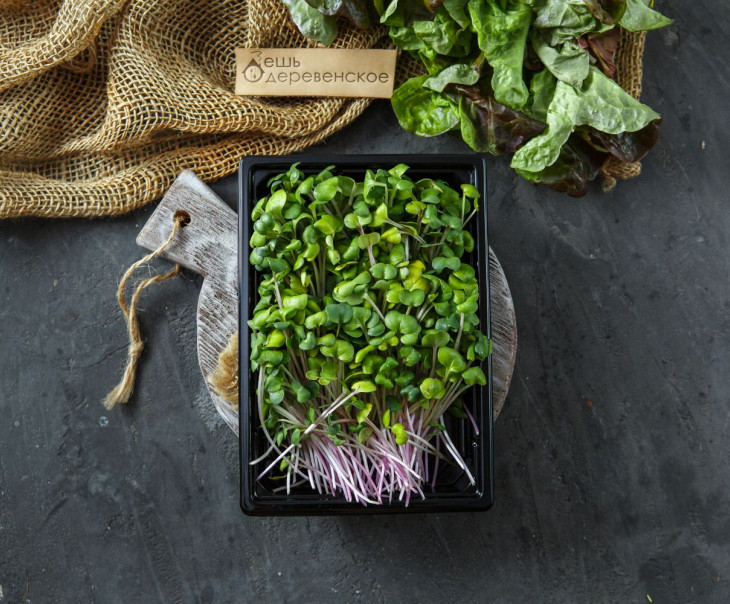 5505 Микрозелень редиса "Чайна Роуз" Вкусляндия  - Вид №2