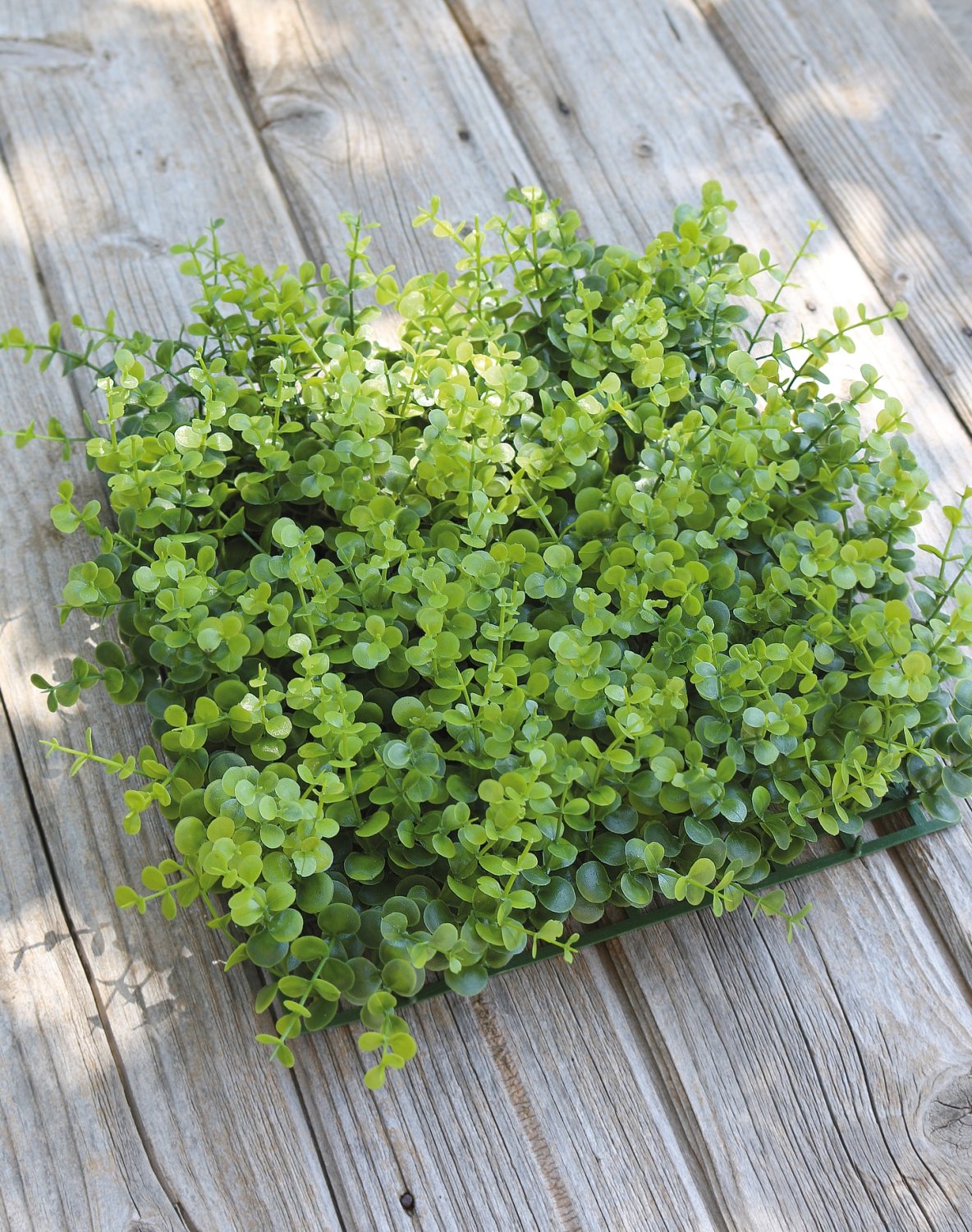 4889 883 a3 Пластиковый коврик из самшита, 35 x 35 см, зеленый H-andreas  - Вид №2