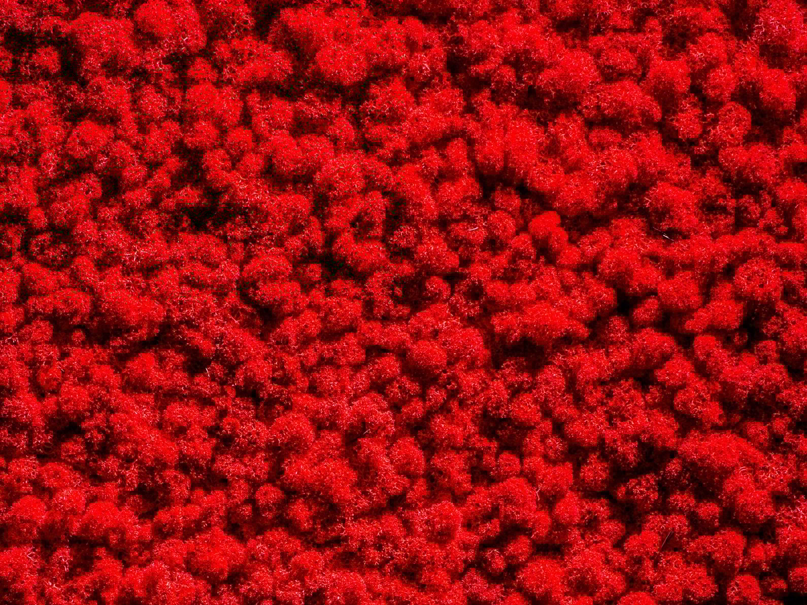 Растительная стена из мха Freund GmbH зеленый ARCH-00125792 - Вид №8