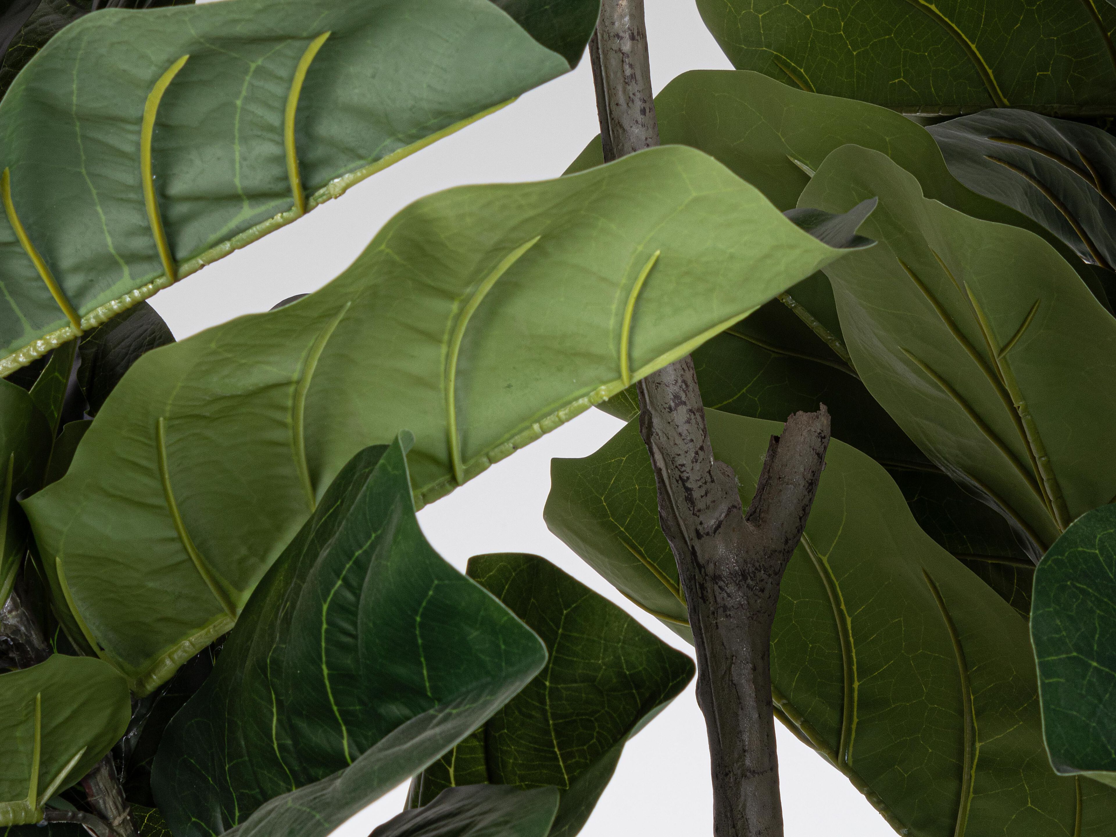 Искусственное растение BIZZOTTO FICUS LYRATA H230 ARCH-00134143 - Вид №2