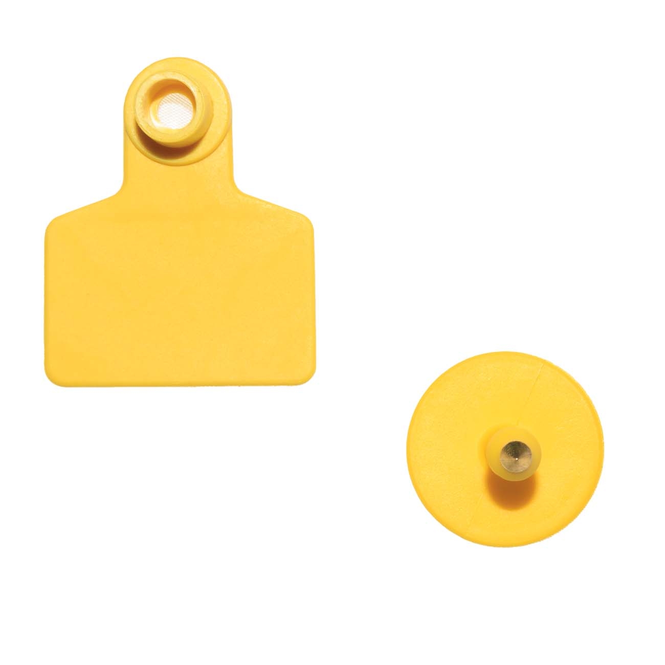 6519 Ушная бирка M LAB.Space  - Вид №1