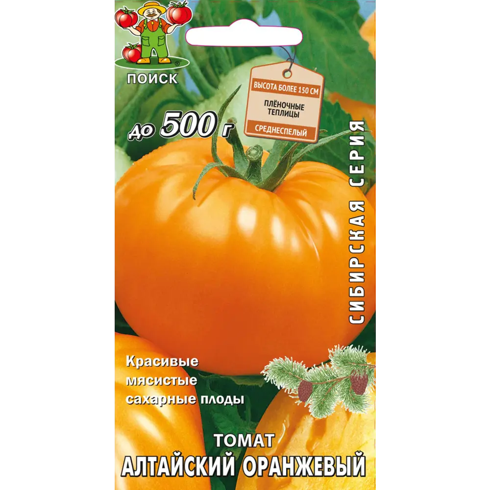 Семена томата Алтайский оранжевый от ПОИСК - крупноплодный сорт для теплиц 83124430 STLM-1570993