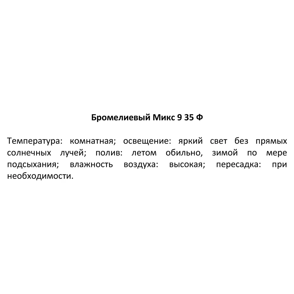 Santreyd Бромелия — экзотическое украшение интерьера 85324978 STLM-0061537 - Вид №4