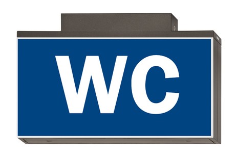 DST-751 Lisu ceiling-mounted Daisalux Светильники аварийные Металлический Серый 