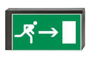 DST-2874 Lisu pennant Daisalux Светильники сигнальные Металлический Серый