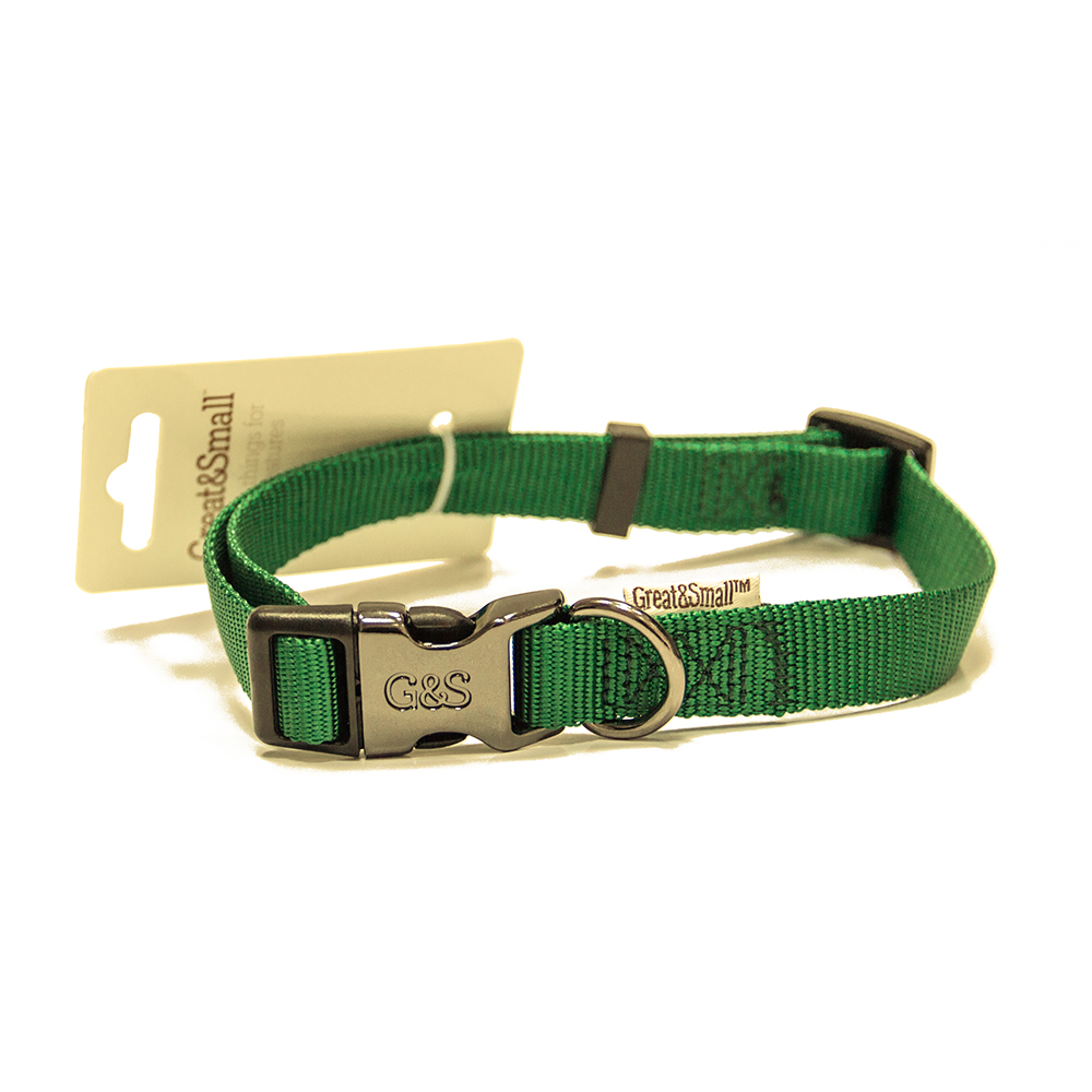 ПР0041951 Ошейник для собак 10x200-350мм нейлон Зелёный Great&Small 