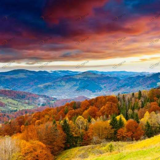 WP02421 Фотообои Verol Фотообои decoline 1х1 м