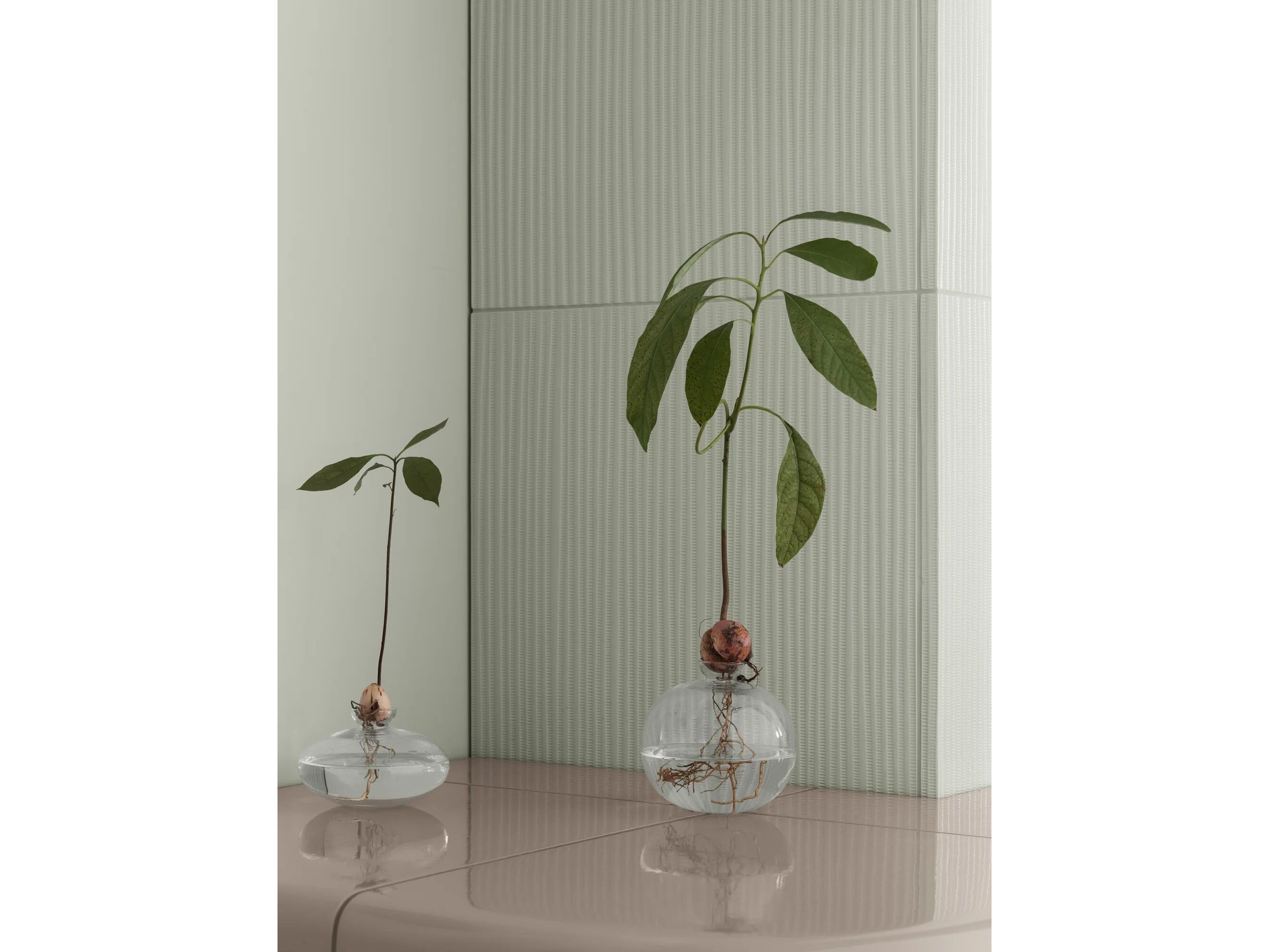 Круглая ваза из дутого стекла blomus AVO S ARCH-00048431 - Вид №2