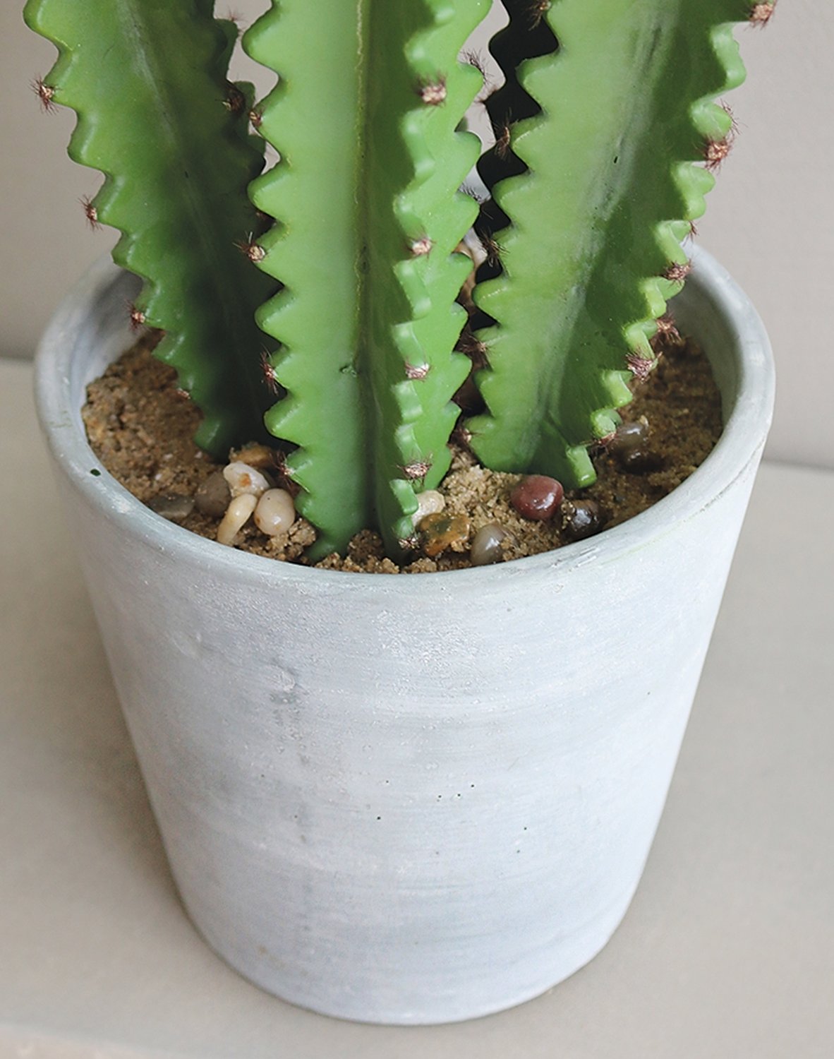 6063 883 a3 Молочай искусственный тригона, горшечный, 100 см, зеленый H-andreas  - Вид №4