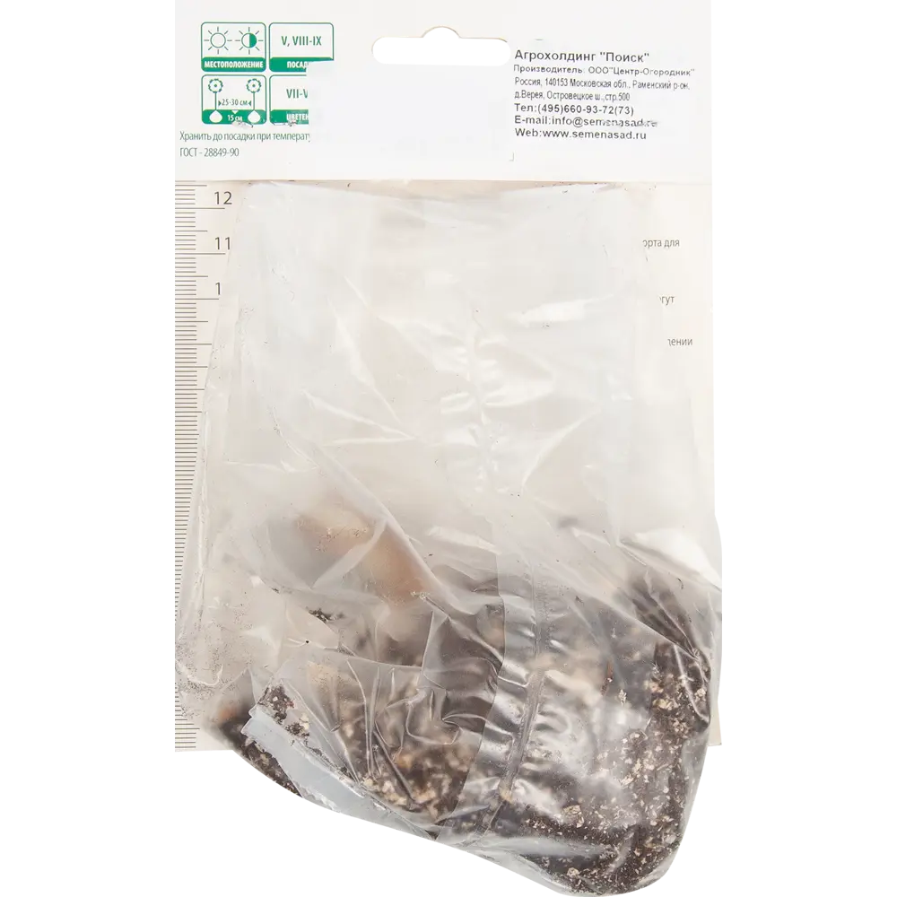 Лилия восточная Венесуэла ПОИСК STLM-2074931 - Вид №1