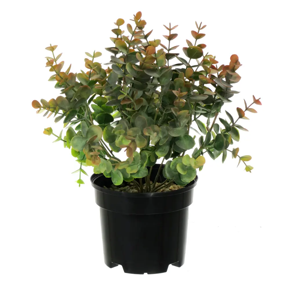 89356250 Искусственное растение в горшке эвкалипт h30 см цвет коричневый STLM-0961796 Santreyd  - Вид №1